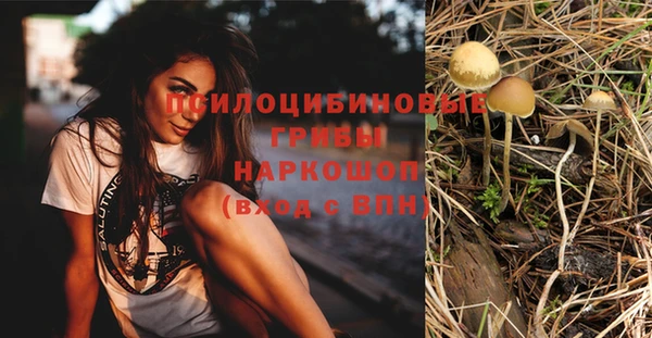 не бодяженный Горнозаводск