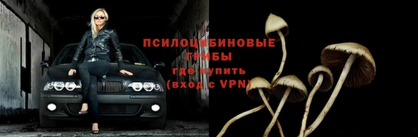 не бодяженный Горнозаводск