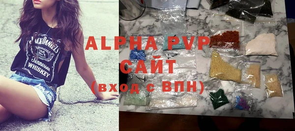 стафф Гусев