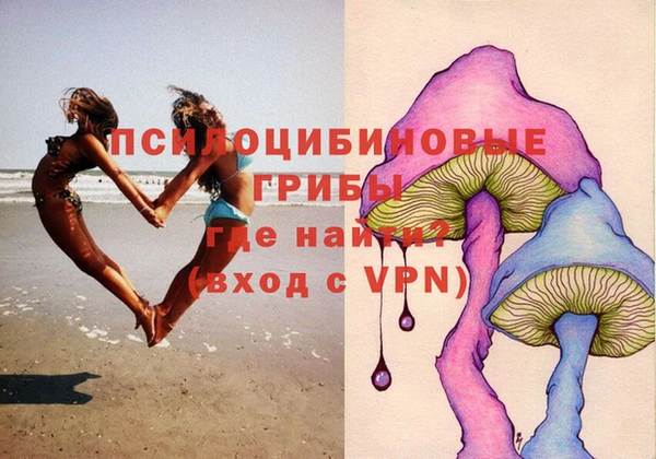 хмурый Горно-Алтайск