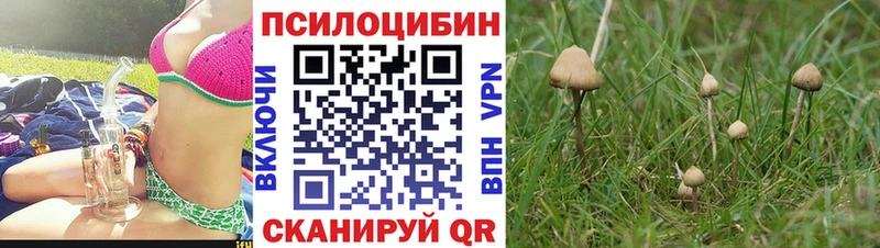 Галлюциногенные грибы GOLDEN TEACHER  цена   Дмитров 