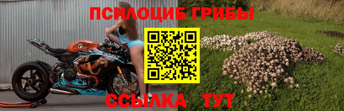 Дмитров  Галлюциногенные грибы мицелий  Вход с VPN  закладки  Псилоцибиновые грибы MAGIC MUSHROOMS 