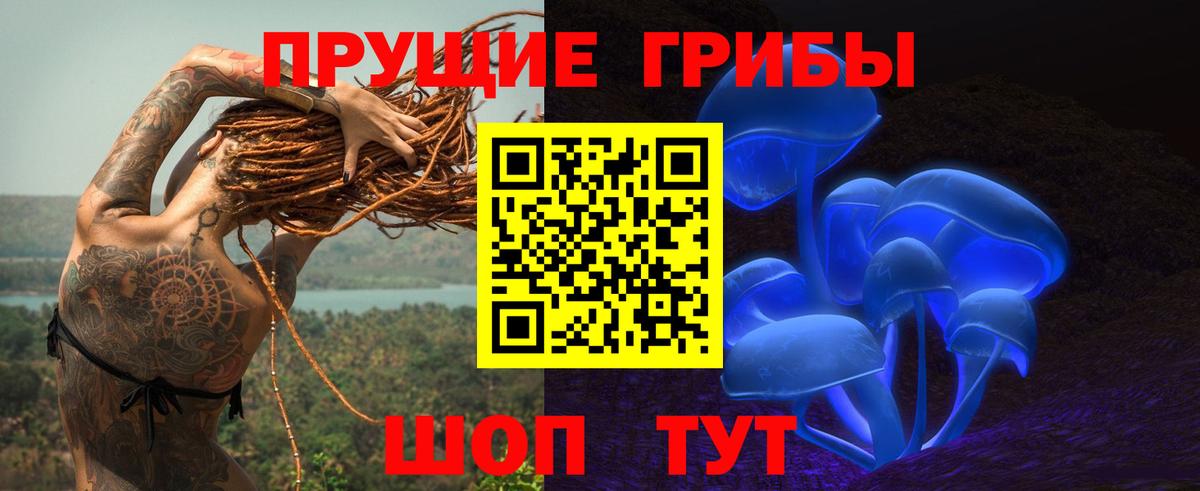 Псилоцибиновые грибы ЛСД Дмитров